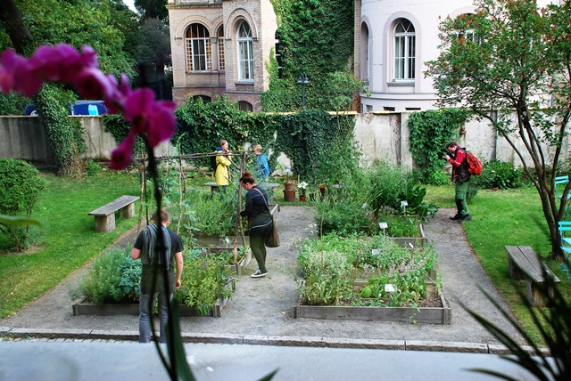 Den ganzen Abend über konnten die Gäste den karolingischen Kräutergarten im Garten der Akademie besuchen und mit den ausliegenden Informationsblättern eigene Rundgänge durchführen.