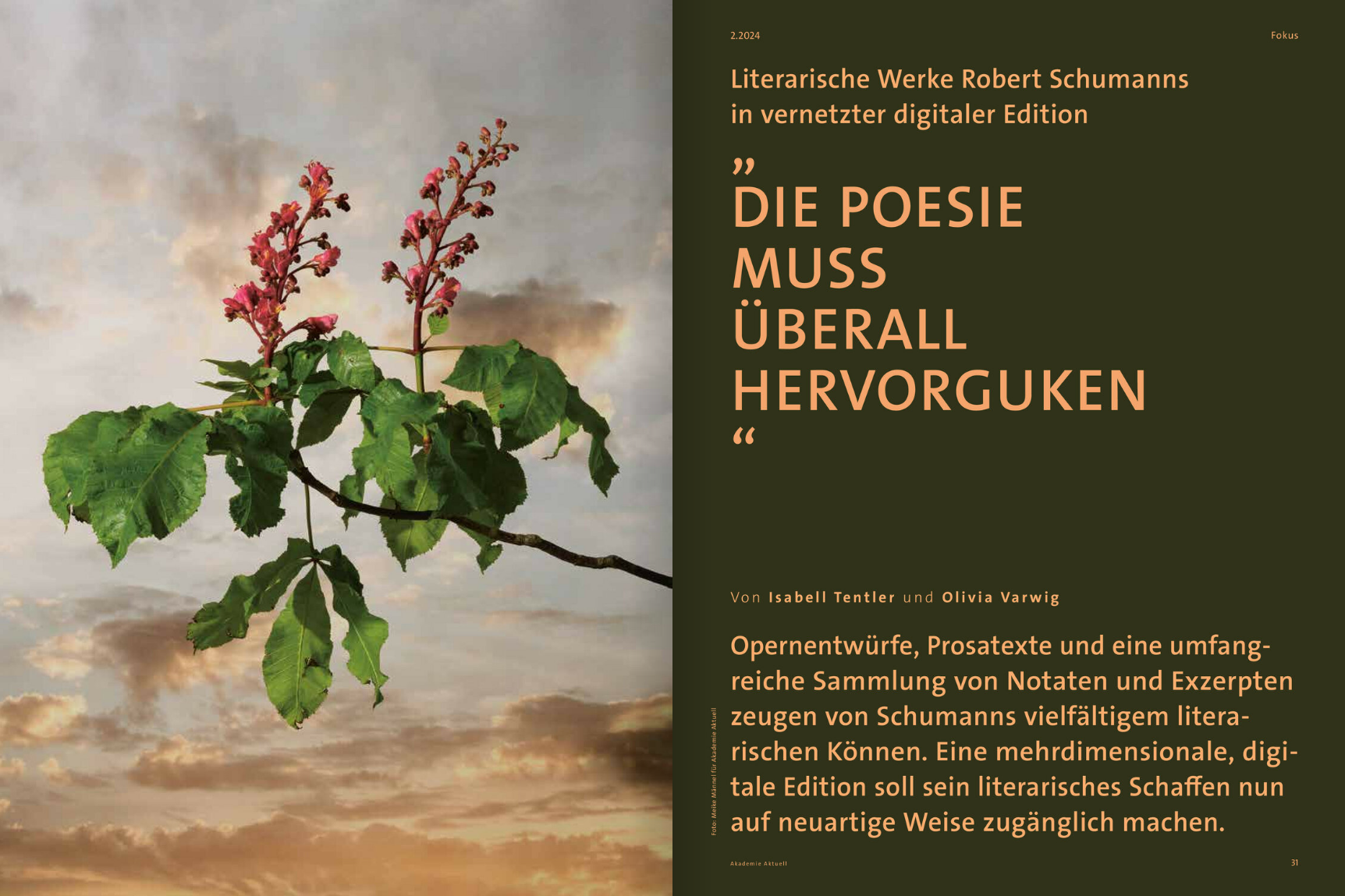Beginn des Beitrags von Dr. Isabell Tentler (Leipzig) und Dr. Olivia Varwig (Würzburg)