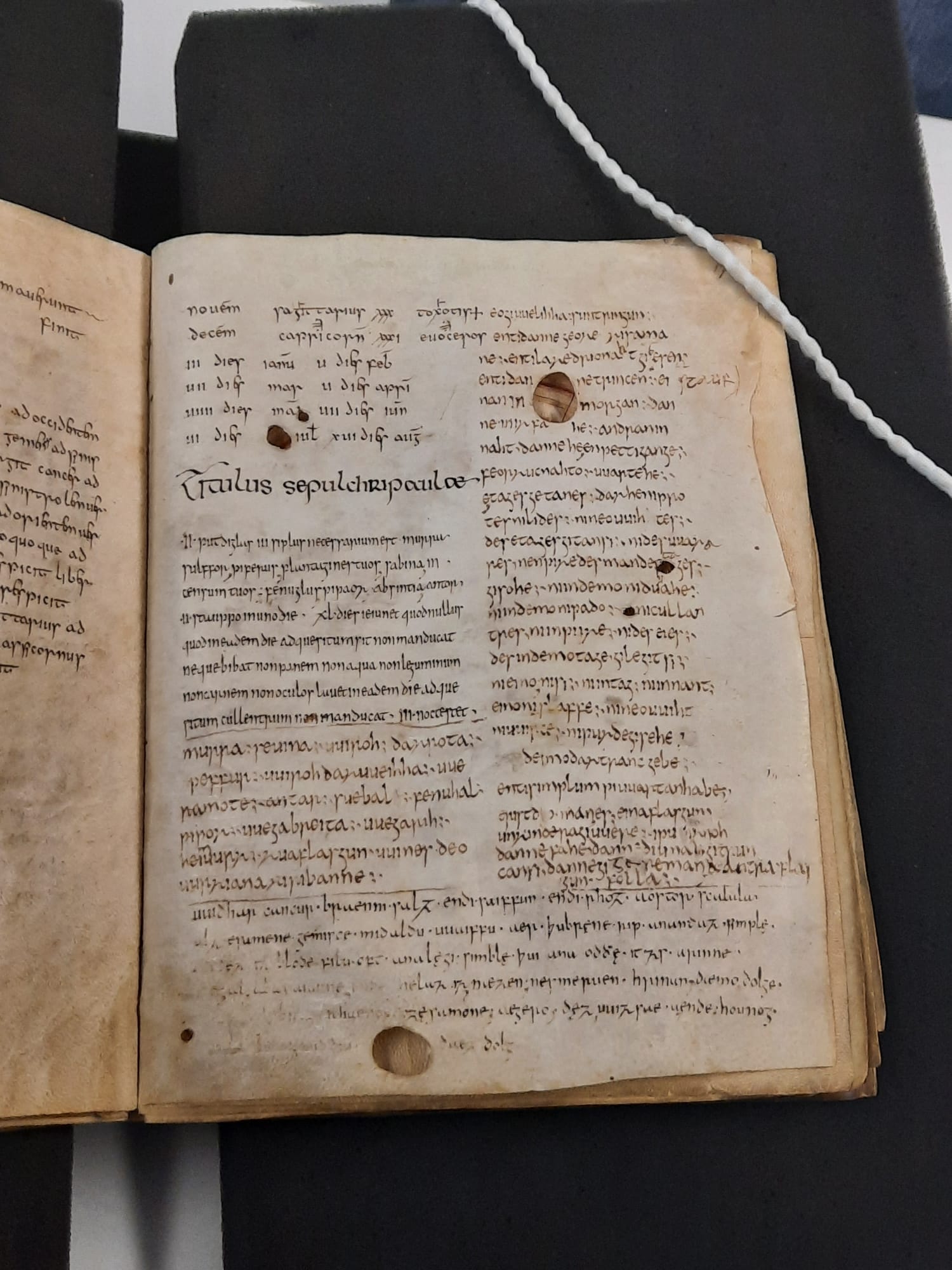 Die Basler Rezepte (Basel, UB, Cod. F III 15a, fol. 17r). Foto: Aletta Leipold