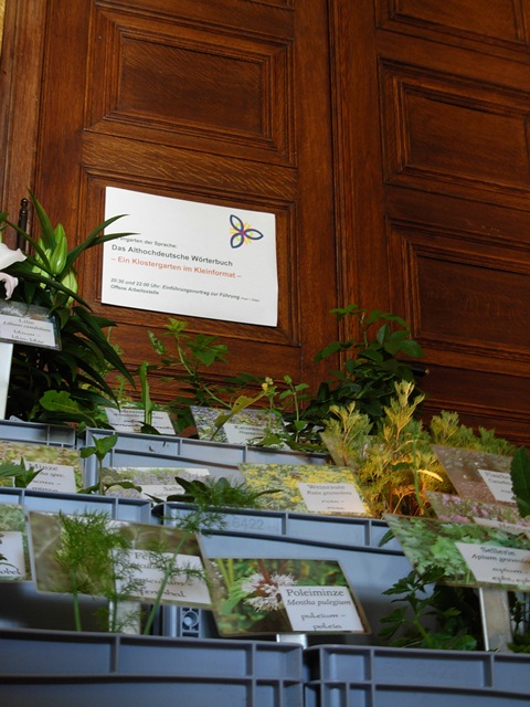 Althochdeutsches Wörterbuch: Ein Klostergarten im Kleinformat, Foto: privat