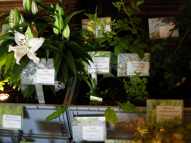 Althochdeutsches Wörterbuch: Ein Klostergarten im Kleinformat, Foto: privat