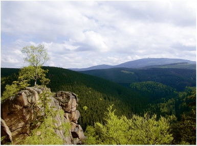 Teaserbild einer Veranstaltung