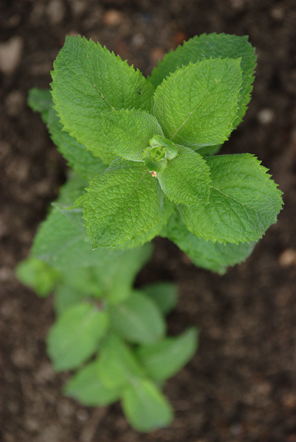 Teaserbild einer Veranstaltung
