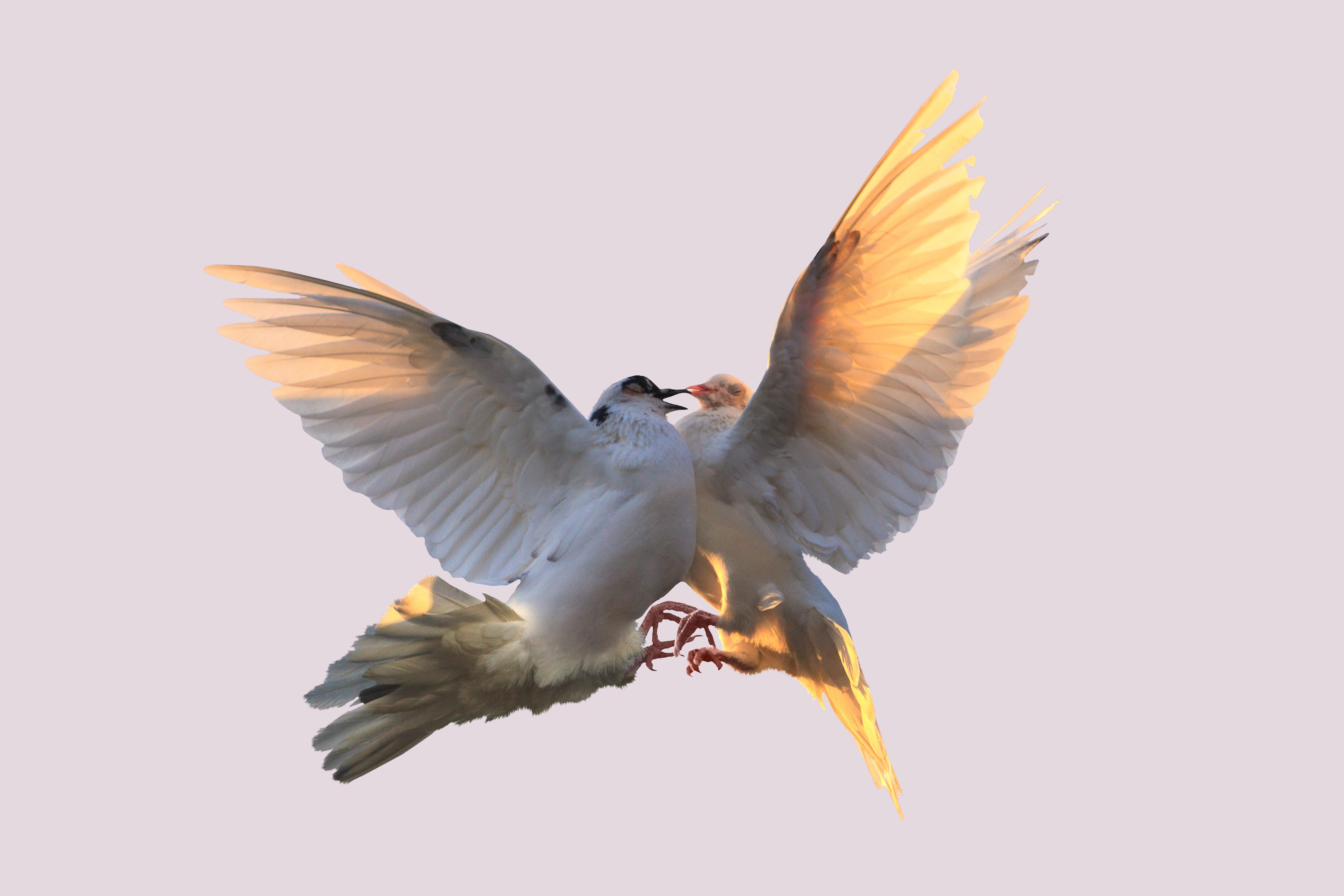 Teaserbild einer Veranstaltung