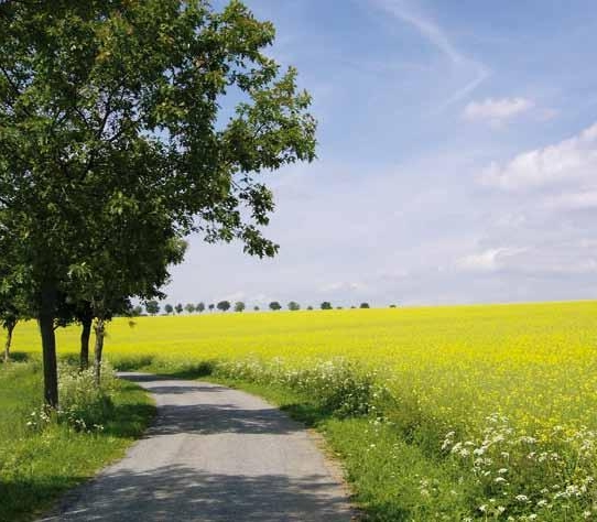 Teaserbild einer Veranstaltung