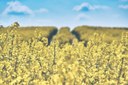 Vortrag: Innovative Energietechnologien – drei Pilotprojekte Vortrag: Innovative Energietechnologien – drei Pilotprojekte
