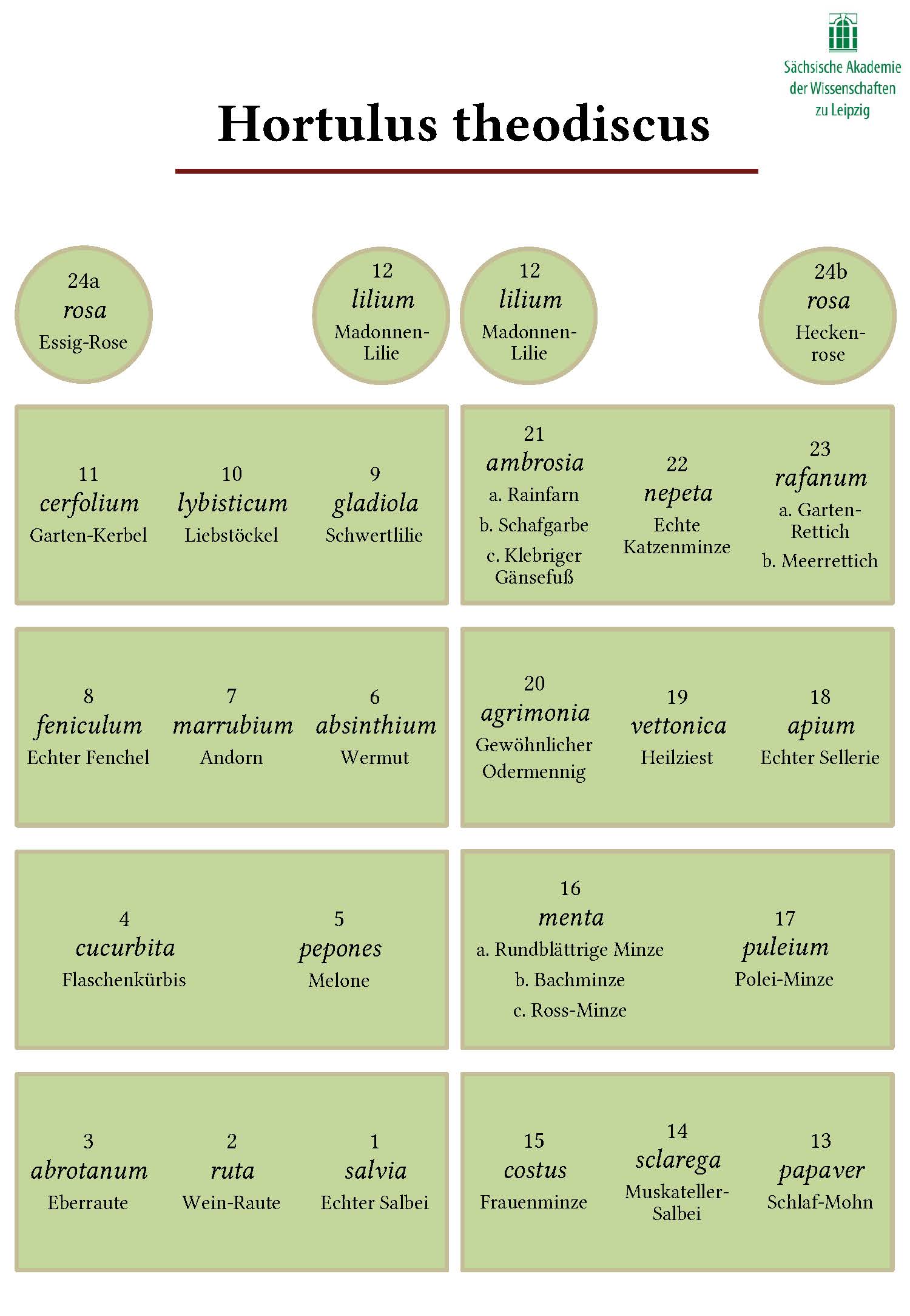 Gartenplan: Plan des Hortulus theodiscus mit den lateinischen Pflanzennamen aus De cultura hortorum und ihren heutigen deutschen Entsprechungen. Der Garten wurde nach der Interpretation von Wolfgang Fels’ ‚Ein Gärtchen nach Mass‘ (in: Berschin 2023) angelegt.