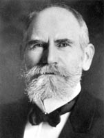 Portraitbild einer Person