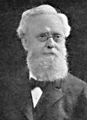 Portraitbild einer Person