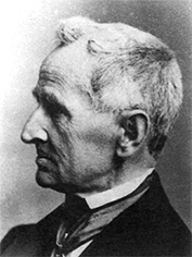 Portraitbild einer Person