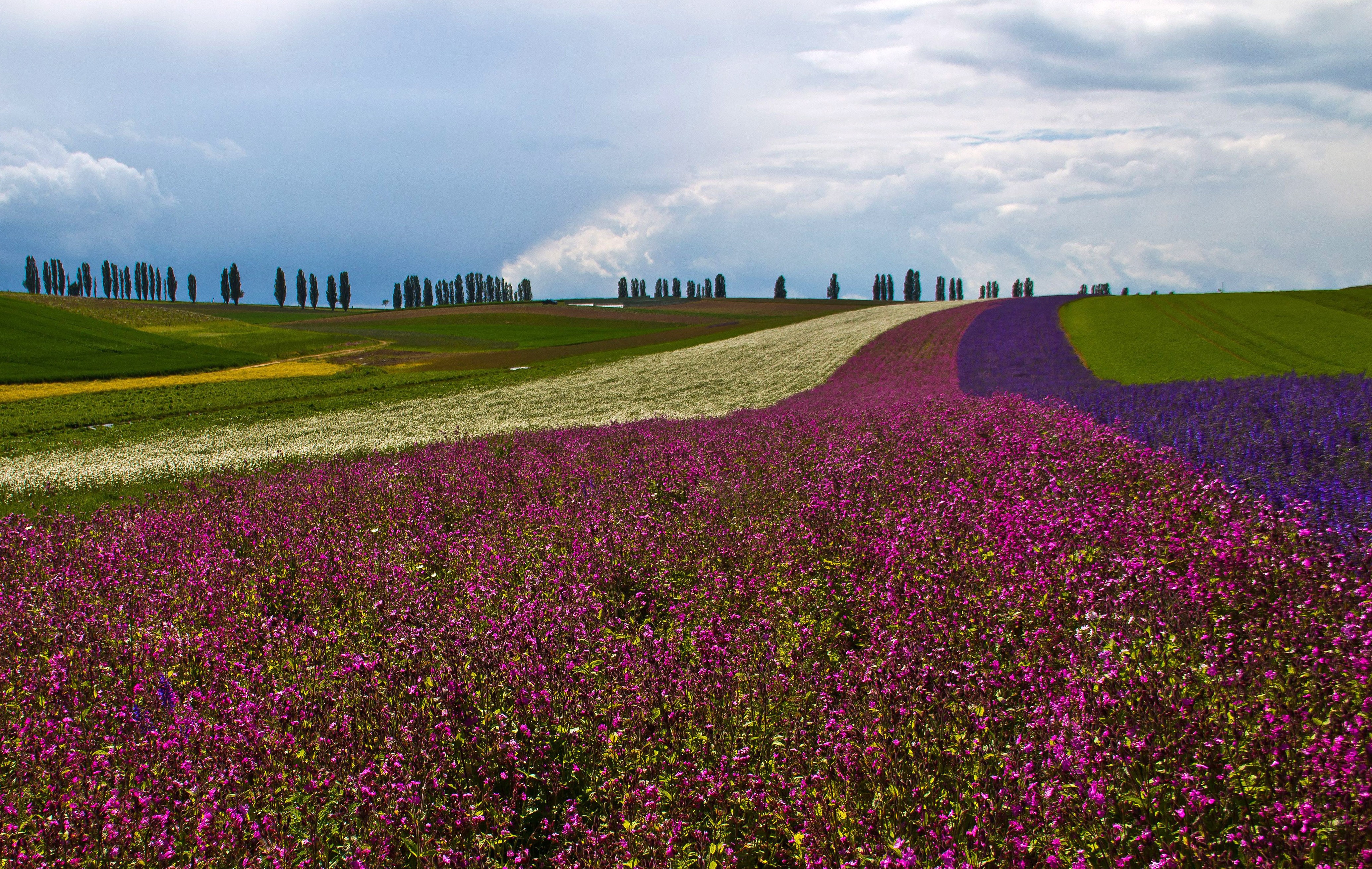 Teaserbild eines Projekts