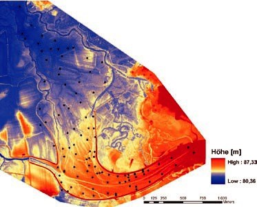 Digitales Höhenmodell der kleinräumig stark strukturierten HochwasserÜberflutungsfläche im Mündungsbereich der Weißen Elster in die Saale bei Halle (Nitsche 2007). Schwarze Punkte = Probenahmestellen
