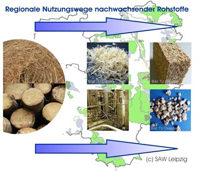 Nachwachsende Rohstoffe als Chance für den Mitteldeutschen Raum