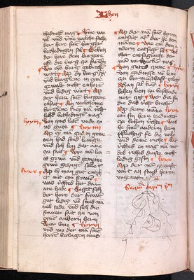 Leithandschrift der Edition „Glossen zum Sachsenspiegel-Lehnrecht. Die kürzere Glosse“, 1431/32, fol. 98 v (Leipzig, Universitätsbibliothek, Hs. 950)