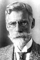 Portraitbild einer Person